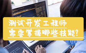 優(yōu)秀的測(cè)試開(kāi)發(fā)工程師需要掌握哪些技能？